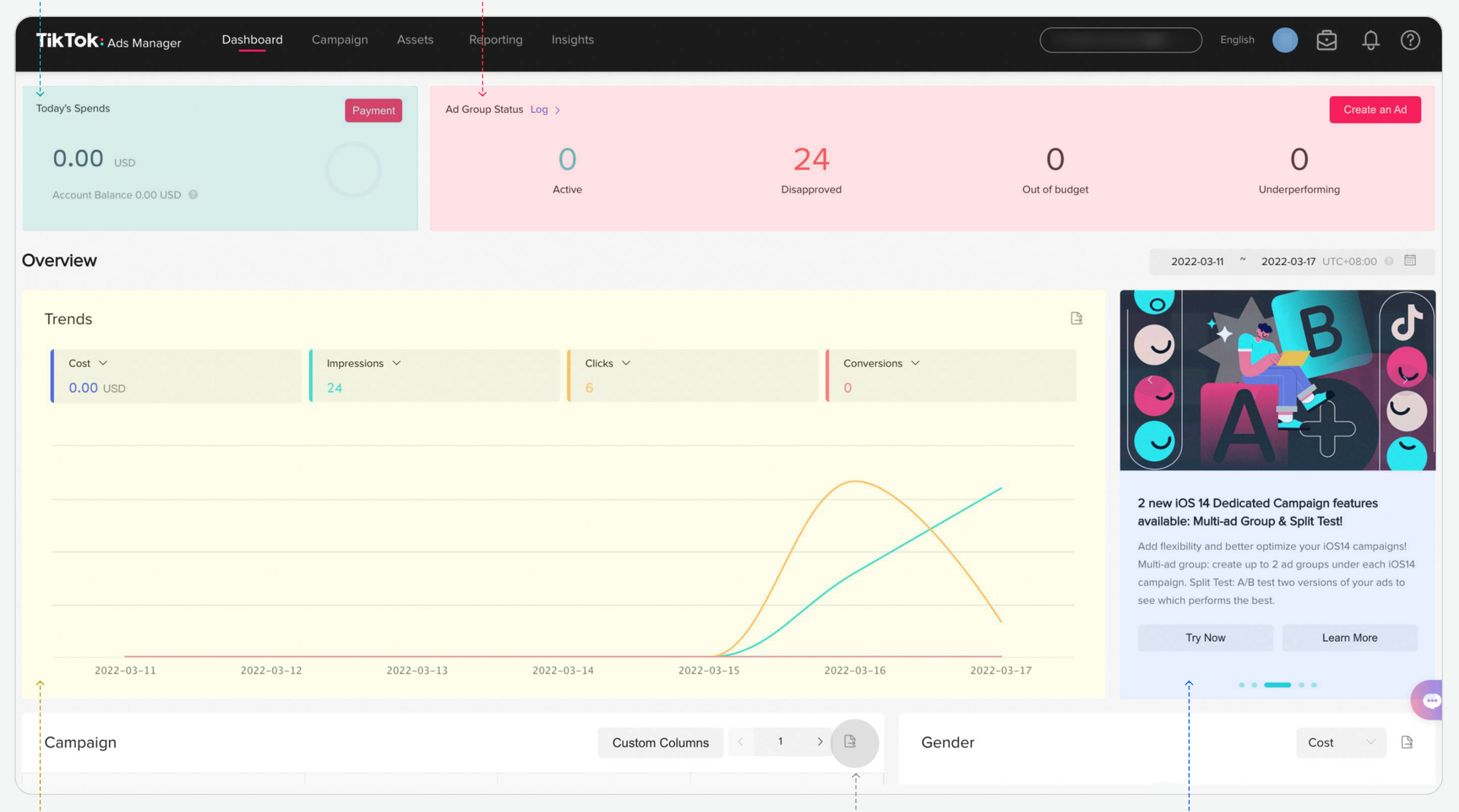 TikTok Ads Manager