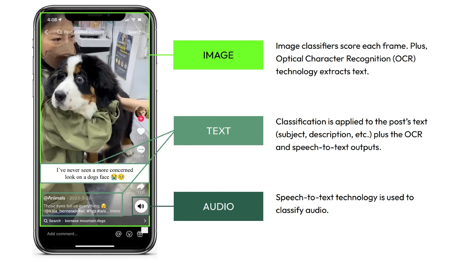 IAS enhances TikTok brand safety & suitability reporting