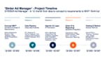 Ströer Ad Manager project timeline from concept MVP in Q2 2026 to go-live by Q4 2027