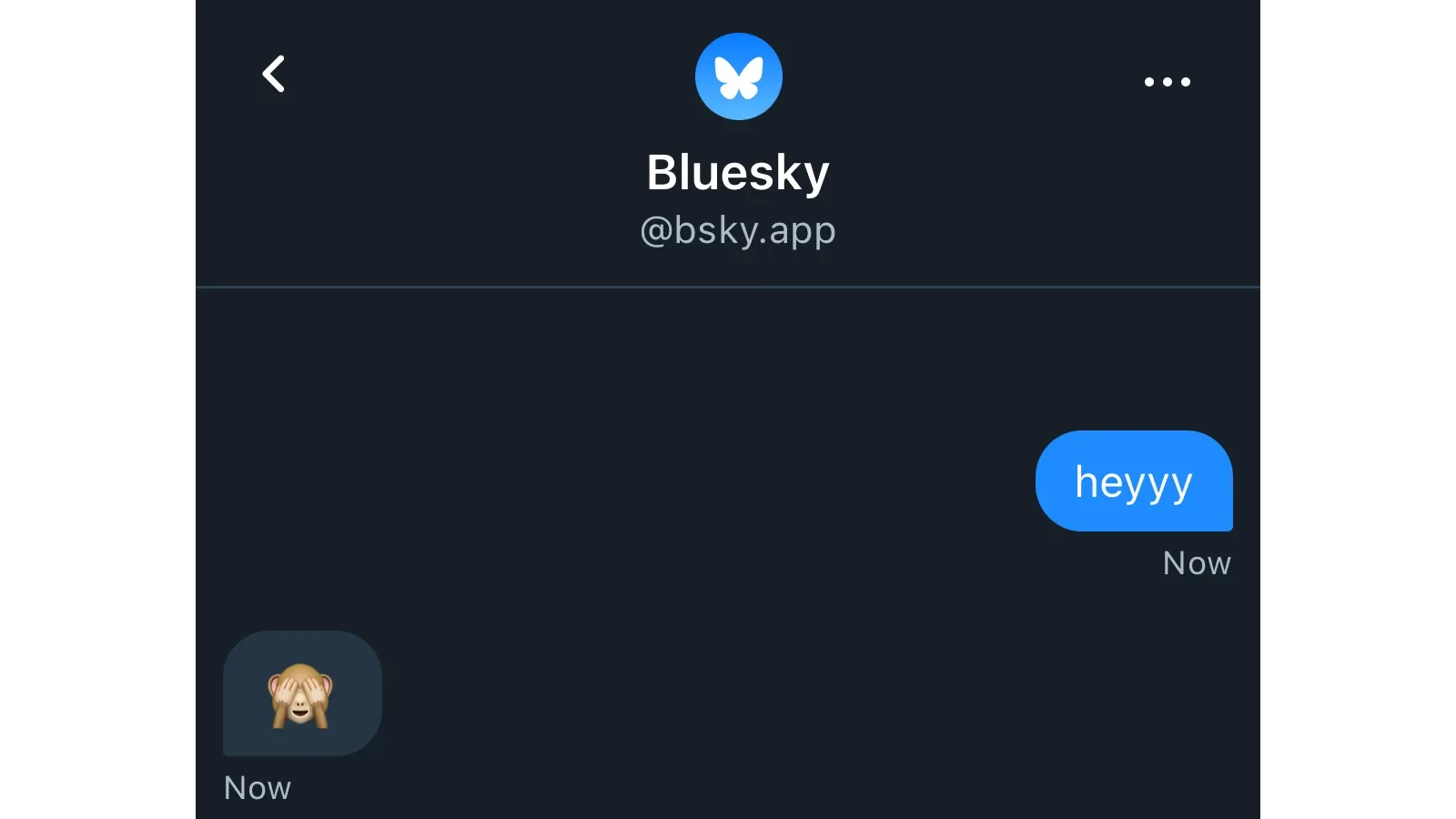Bluesky Direct Messages