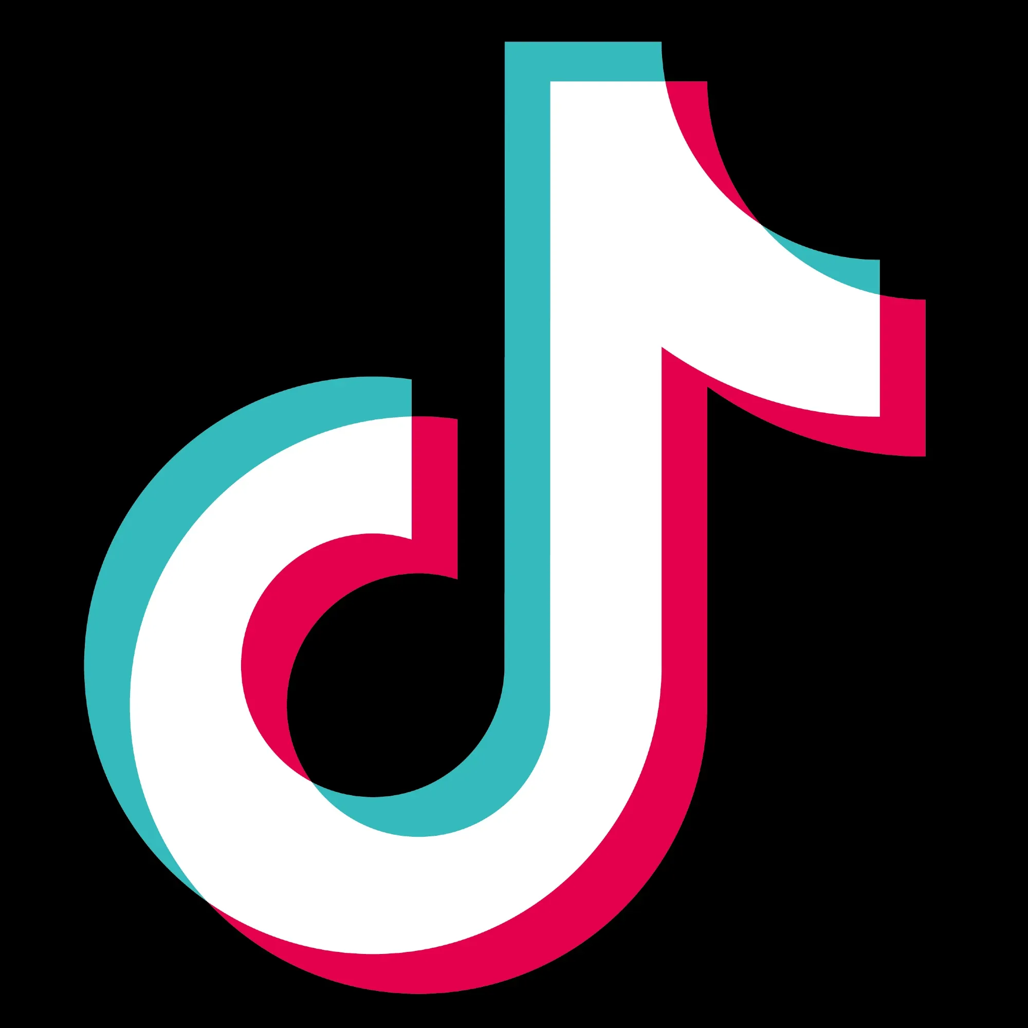 TikTok ban would increase ad prices and hurt small businesses