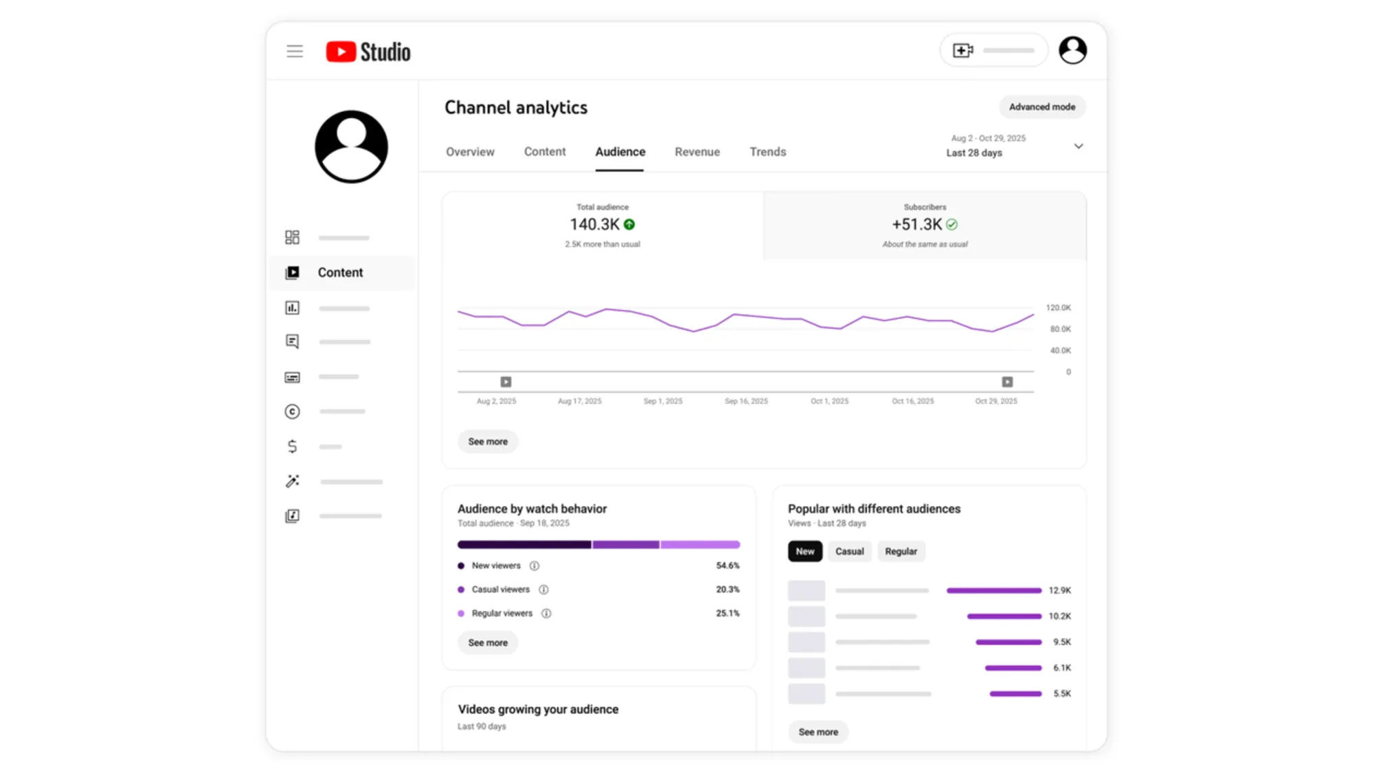 YouTube Studio Audience analytics showing new viewer segmentation: 54.6% new, 20.3% casual, 25.1% regular viewers.