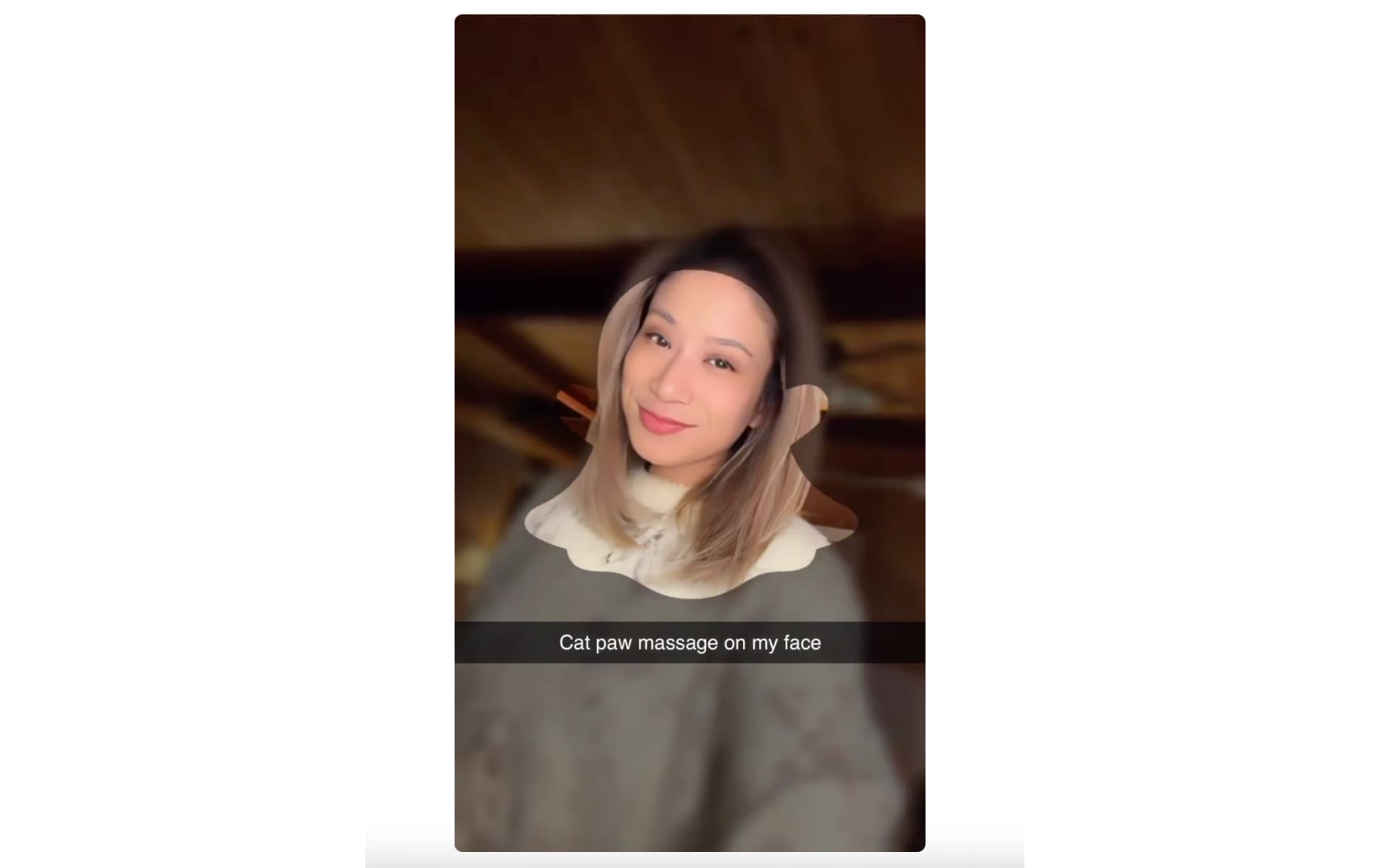 Snapchat brings AI video generation to users with new Animate It lens