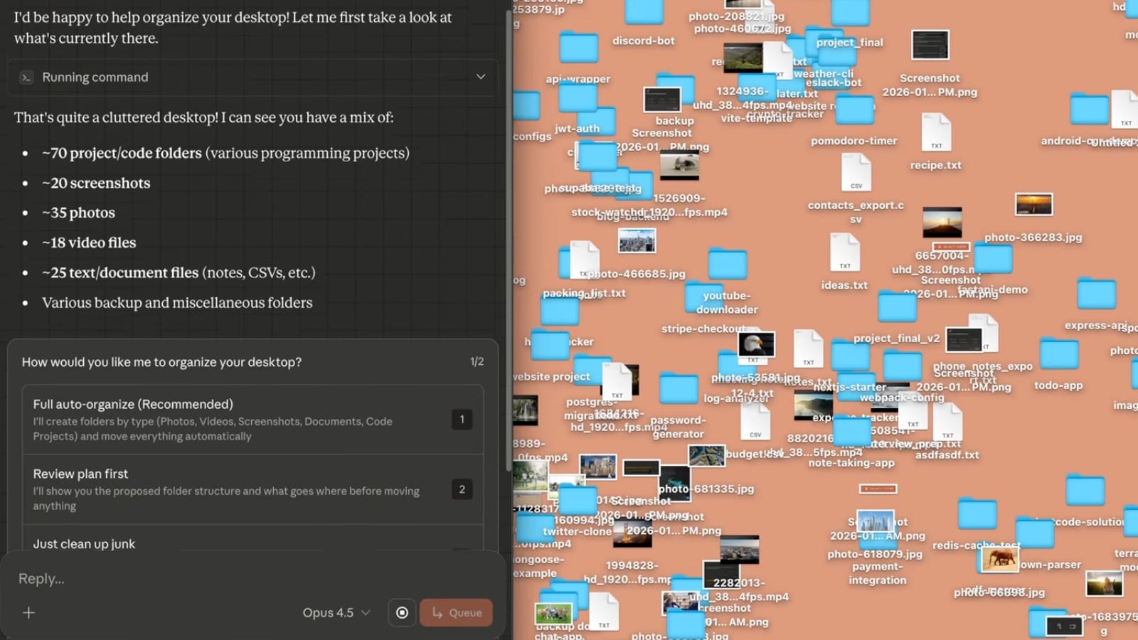 Claude Cowork analyzing messy desktop offering automated file organization by type and category