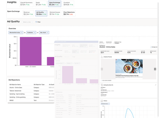 Monetize Insights