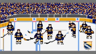 Professional ice hockey team