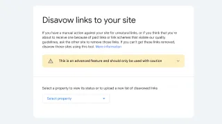 The future of Google's Disavow links tool