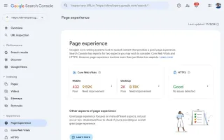 Page Experience Report