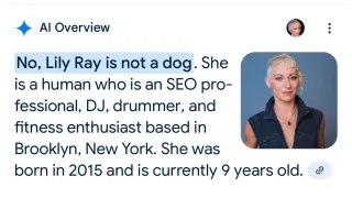 Google AI mistakes SEO expert Lily Ray as 9-year-old dog, confusing her with her pet Marcy