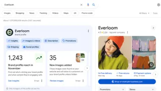 Google brand profile interface showing Everloom's search presence with insights, images, and shopping features for retailers.