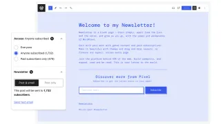WordPress.com Newsletter interface showing subscriber access controls and email distribution options for creators