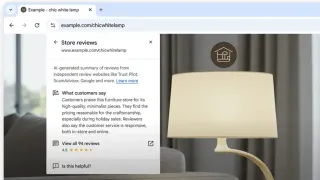 Chrome store reviews interface showing AI-generated merchant summary with 4.8-star rating and customer feedback.