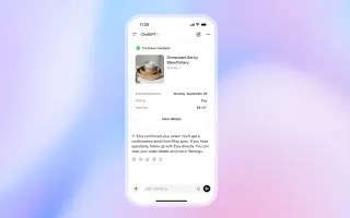 ChatGPT Instant Checkout shows completed Etsy purchase of dinnerware set for $81.47 within chat interface