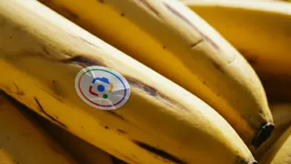 Google Lens Nano Banana feature icon on bananas representing new AI image editing capabilities