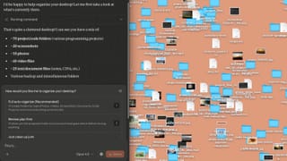 Claude Cowork analyzing messy desktop offering automated file organization by type and category