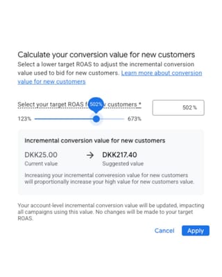 Google Ads ROAS calculator showing DKK25 to DKK217.40 conversion value adjustment for new customers