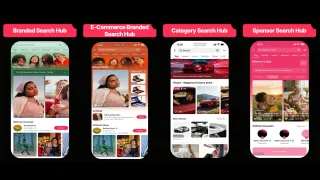 TikTok Search Hubs: four formats showing branded, e-commerce, category, and sponsor results