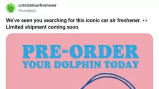 How a Reddit question about a dolphin air freshener built a real business