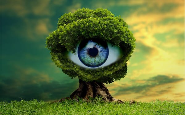 Viewability standards