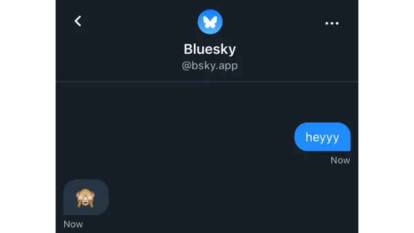 Bluesky Direct Messages