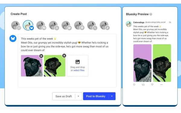 Bluesky integration in Buffer