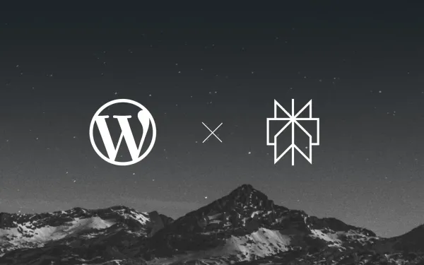 WordPress.com partners with Perplexity AI