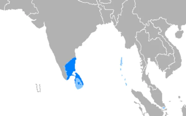 Tamil