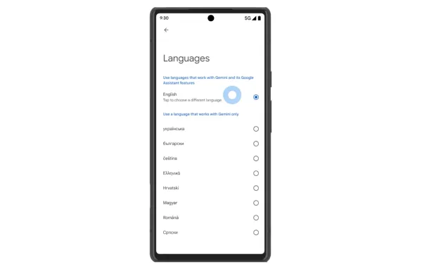 Available languages in Gemini Live