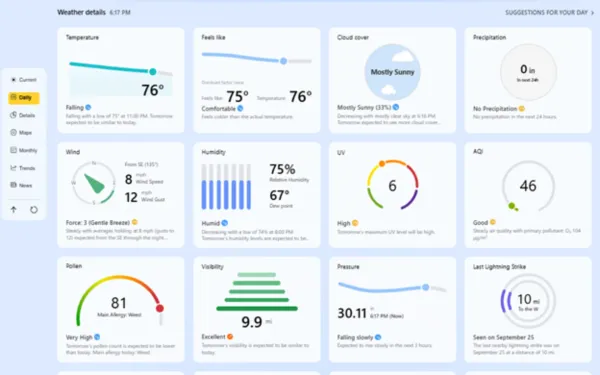 Weather Details in MSN Weather