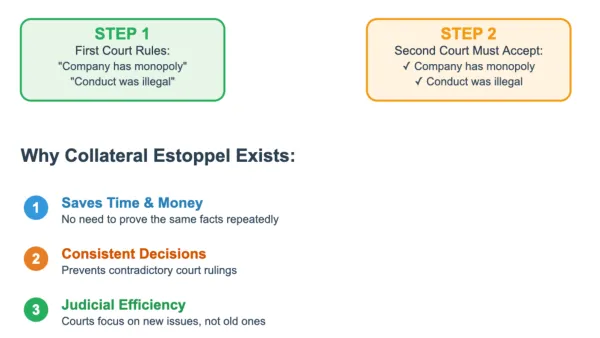Google antitrust collateral estoppel explained: how courts prevent relitigating decided facts