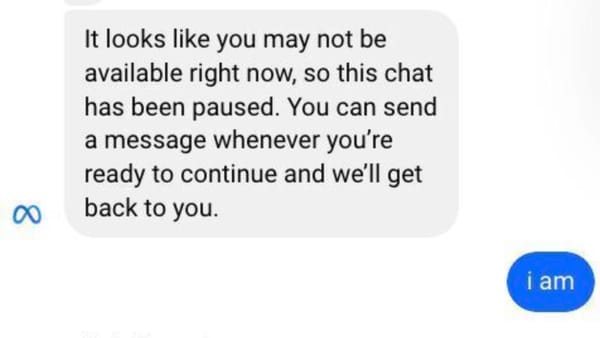 Meta support chat pausing conversation despite advertiser responding "i am" immediately