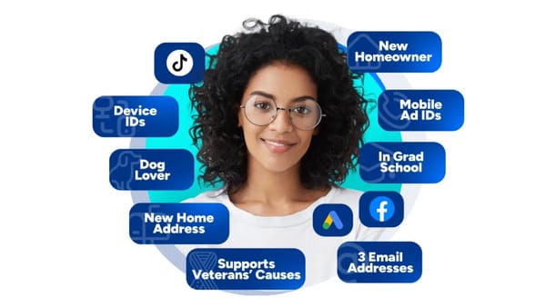 Digital identity signals linking voter profiles to programmatic ad platforms across devices