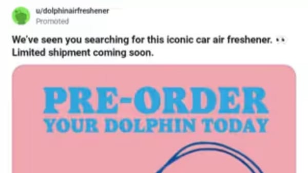 How a Reddit question about a dolphin air freshener built a real business