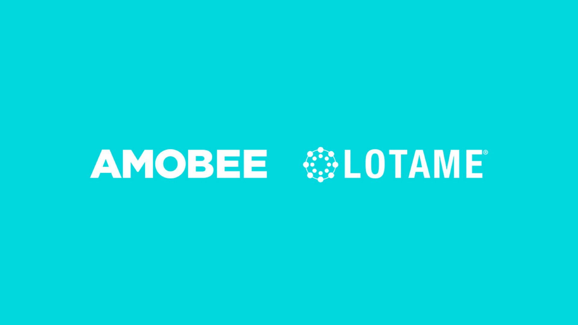 Amobee partners with Lotame expanding the audiences across social networks