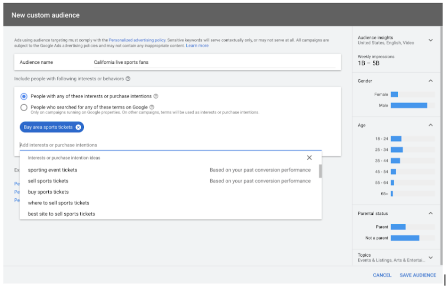 Custom Audience Google Ads